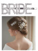 Bride Gümüş Taşlı Pens Toka - 1
