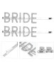 Bride Gümüş Taşlı Pens Toka - 3
