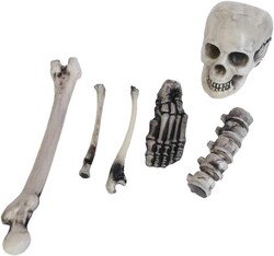 Halloween İskelet Set 6 Parça Beyaz - 1