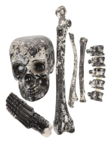 Halloween İskelet Set 6 Parça Beyaz - 2