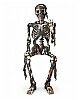 Halloween İskelet 170 Cm Siyah Sesli Sese Duyarlı - 2