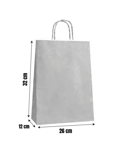 Kağıt Çanta Büklüm Sap 26x32x12 Cm Gümüş 25 Parça - 2