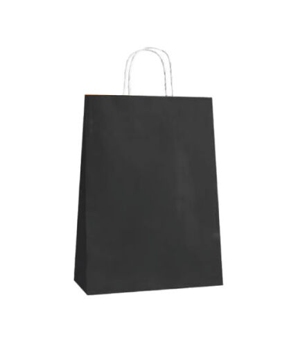 Kağıt Çanta Büklüm Sap 26x32x12 Cm Siyah 25'li - 