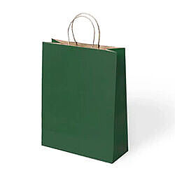 Kağıt Çanta Büklüm Sap 31x42x12 Cm Koyu Yeşil 10'lu - 