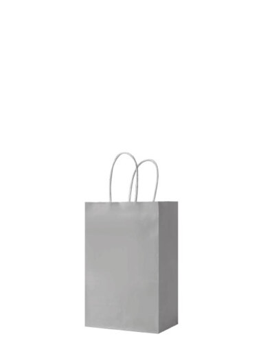 Kağıt Çanta Mini Boy 12x15x6 Cm 25 Parça Gümüş - 