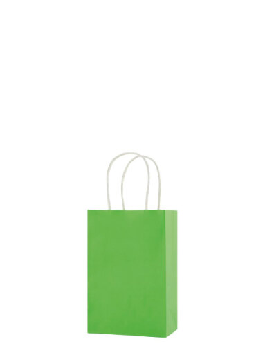 Kağıt Çanta Mini Boy 12x15x6 Cm 25 Parça Açık Yeşil - 