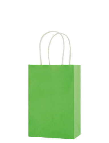 Kağıt Çanta Mini Boy 16x21x8 Cm 25 Parça Açık Yeşil - 