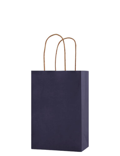 Kağıt Çanta Mini Boy 16x21x8 Cm 25 Parça Koyu Mavi - 