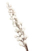 Yılbaşı Çam Dalı Beyaz Berry Demeti Tüylü 65 Cm - 2